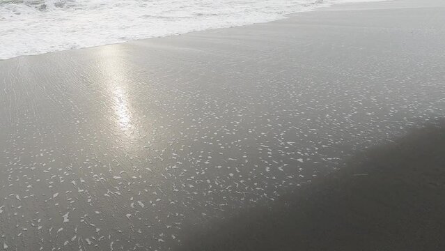 Kamchatka. Coast of the Pacific Ocean. Harsh winter. Mainly cloudy. Khalaktyrsky beach. Sea winter landscape. Powerful foamy waves of the ocean roll onto the black sandy beach. Sea foam close-up.