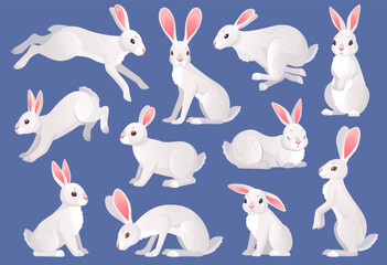 Snow hares. White furry hare or rabbit pets, wild spring bunny character pose collection forest mammal animals, running and sitting haring, isolated ingenious vector illustration © ssstocker