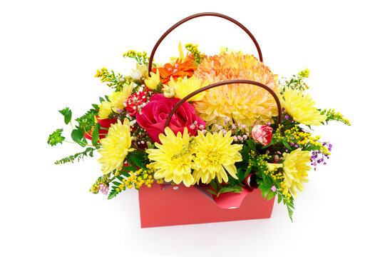 Boquet of asters, chrysanthemum and roses in red bag
