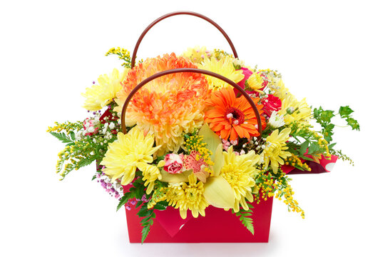 Boquet of asters, chrysanthemum and roses in red bag on white