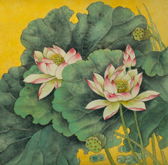 lotus bright flower - 543918849