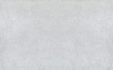 Fototapeta na wymiar Seamless white leather backdrop high resolution