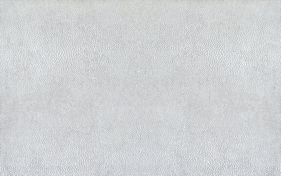 Seamless white leather backdrop high resolution