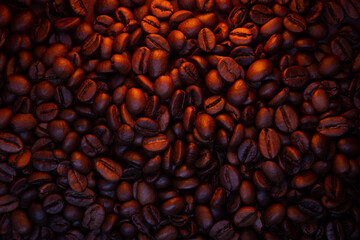 coffee beans in beautiful dark light