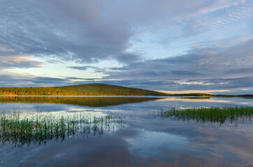 northern landscape Murmansk region