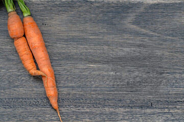 Two organic carrots on a wooden table.