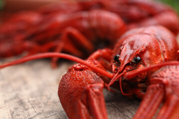 Delicious red boiled crayfish on wooden table, closeup