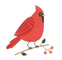 vector,winter,cute,isolated,bird,red,christmas,illustration,bullfinch,cartoon,flat,cardinal,snow,set,season,wild,wildlife,colorful,nature,holiday,art,poster,vintage,birds,collection,branch,animal,feat