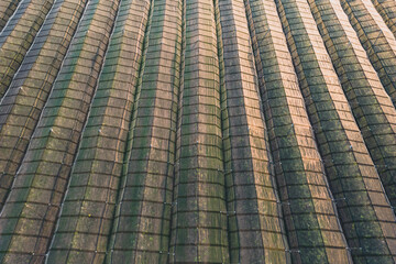 Aerial view of orchard with apple trees during sunset. The fields are covered with a hail net. Beautiful outdoor countryside scenery from the drone view. Lots of flowering plants and trees. Autumn 
