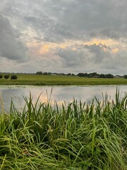 Picturesque view of river reeds and cloudy sky