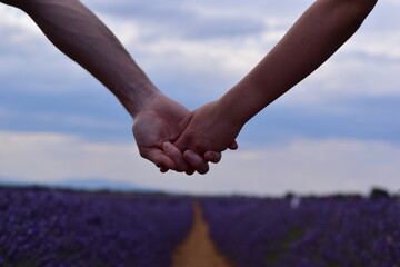 Two people holding hands in a lavender field