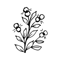 hand drawn botanical flower doodle element for floral design concept