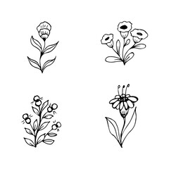 collection of hand drawn botanical flower doodle elements for floral design concept