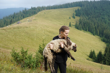 Young pretty female shepherd holding a sheep in the middle of a mountain landscape. The concept of...