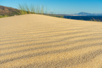 Gold sand texture in Valdevaqueros Dune, background series