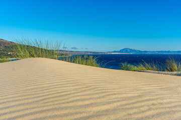Landscape of Valdevaqueros Dune on sunset, Gibraltar Strait, Spain