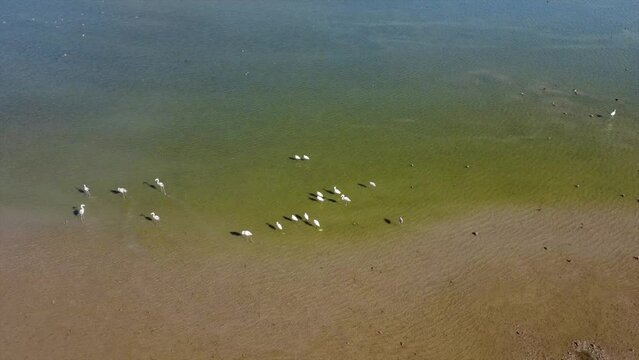 Aerial view of Lake Bafa bird sanctuary and a nature reserve, Turkey