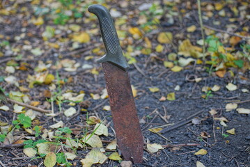 one brown rusty big old machete knife in gray ground among dry fallen leaves outdoors in nature