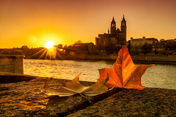 Sonnenuntergang  in Magdeburg an der Elbe mit Dom und Ahornblatt