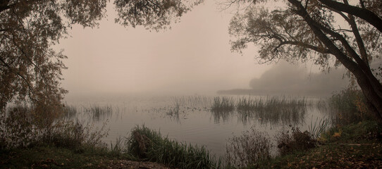 Fototapeta premium autumn weather with fog