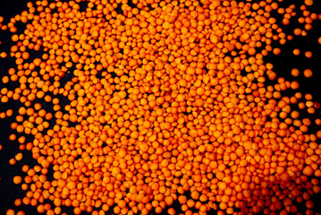 Close up of Raw Masur dal or masoor lentils or pink lentils in a black colored clay bowl on black...