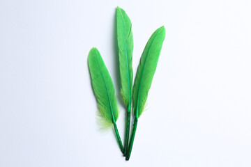 Green feathers on white background, flat lay