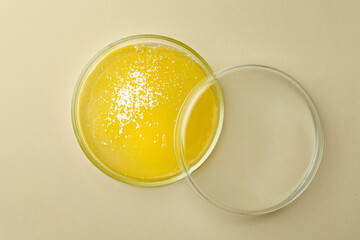 Petri dish with bacteria colony on beige background, top view