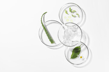 Petri dishes with different plants and cosmetic product on white background, top view. Space for...