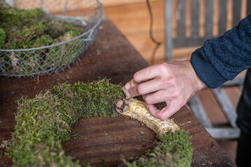 Fototapete bei efototapeten.de bestellen   