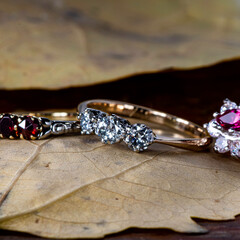 Diamond ring on leaf