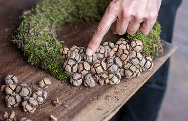 Fototapete bei efototapeten.de bestellen   