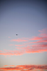 Naklejka na ściany i meble Sunset Clouds and Flying Birds