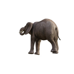 Obraz premium Illustration of an elephant in different poses and angles for collage or clip art. Pose number 1 isolated on white background. 3D rendering illustration.