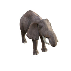 Illustration of an elephant in different poses and angles for collage or clip art. Pose number 1 isolated on white background. 3D rendering illustration.