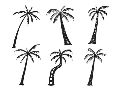 set of realistic hand drawn palm trees silhouettes
