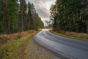 Obraz premium autumn road