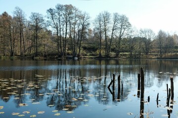 Obraz premium Autumn scenery of lake in sunny day