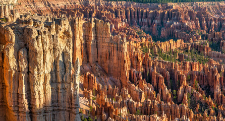 Rising sun lighting up the hoodoos at Bryce Point overlook in the Bryce Canyon National Park 