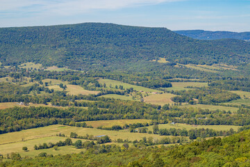 Hiking in the Sam's Loop Trail