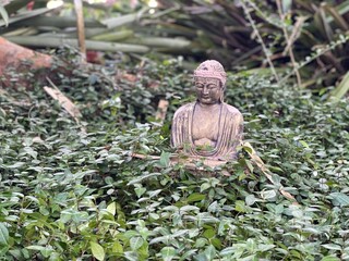 Buddha in peaceful garden