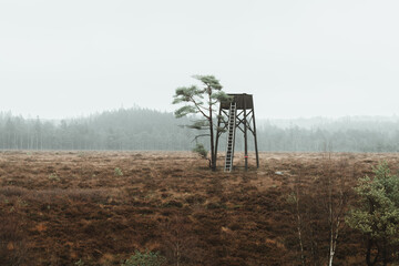 Naklejka premium A watchtower with heavy fog in the background in Djurholmen nature reserve, Sweden. Captured in fall season.