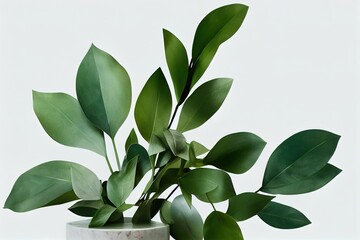 Naklejka premium 3D render empty blank space on white marble stylish podium for beauty products display with beautiful fresh green eucalyptus leaves bouquet in a vase. Sunlight, Leaves shadow. Natural, Cosmetic, Stand