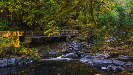 National Register of Historic Places Cedar Creek Grist Mill, Washington State