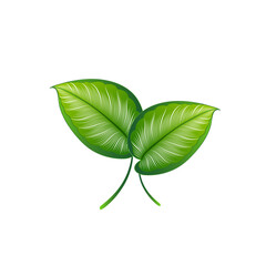 Isolated hand-drawn green tropic leaves.