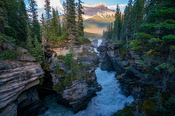 Athabasca Falls. River flowing powerful through the gorge at sunset in summer. Jasper National Park, Alberta, Canada.