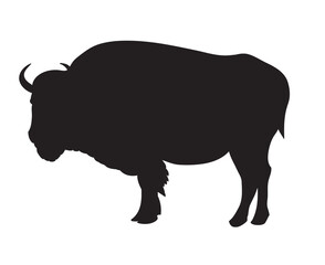 Bison vector illustration