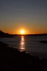 Sunsets and Silhouette Trees
