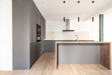 Kitchen with plain gray wooden cabinets and minimalist style with beams and decorative lamps