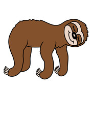 Liegendes müdes Faultier schläft 