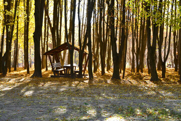 wooden gazebo in the forest